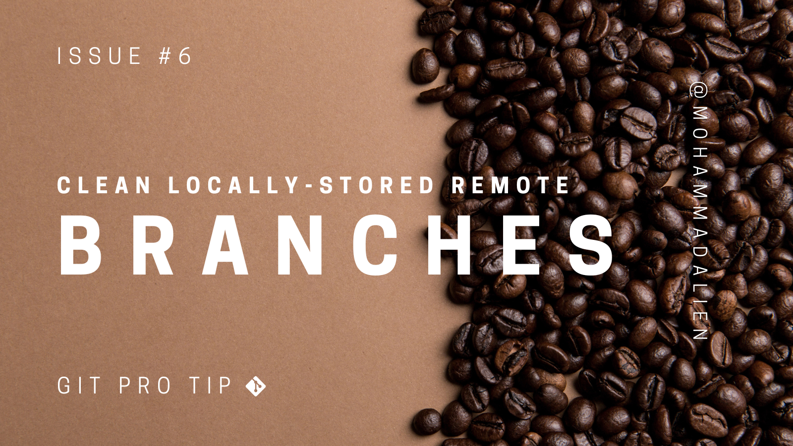Prune Remote Tracking Branches